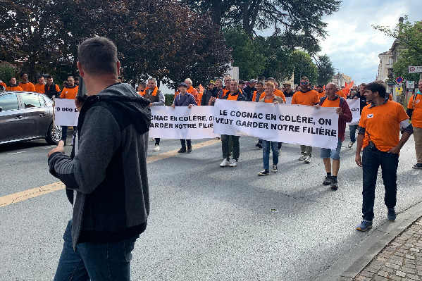 ⚡Jour décisif pour les exportations de cognac en Chine🔌