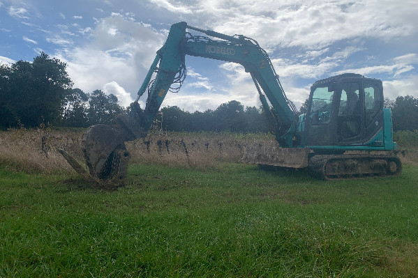 La France autorisée à arracher 30 000 ha de vignes à 4 000 €/ha