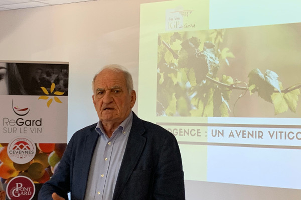 Dévasté par le mildiou, le vignoble gardois est préoccupé pour son avenir