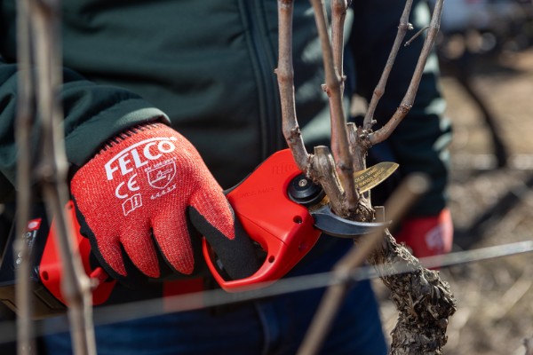 Nouveau venu dans la gamme des sécateurs viticoles Felco