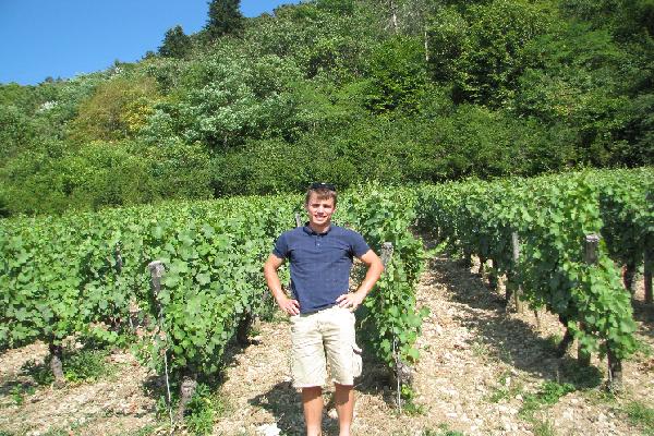 Conseils vignerons pour réussir ses couverts végétaux