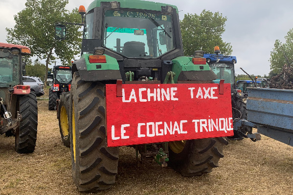 Cognac veut la suppression des taxes chinoises, pas de compensation ou d’investigation