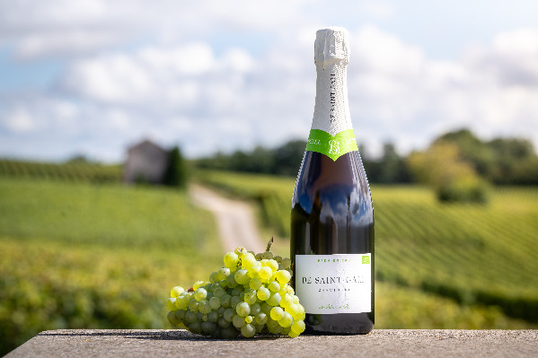 Coop des coops, de Saint-Gall lance son champagne bio