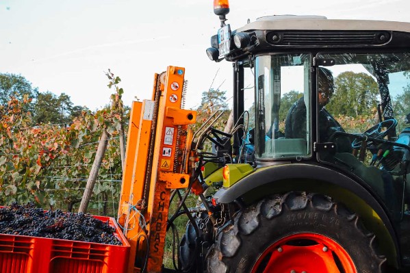 'Le millésime n’est pas plus brillant en Normandie qu’ailleurs'
