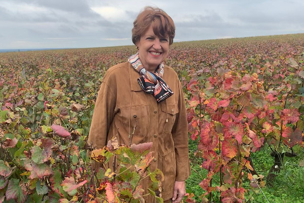 En Bourgogne, la ministre n’oublie pas les vignerons dans le dur