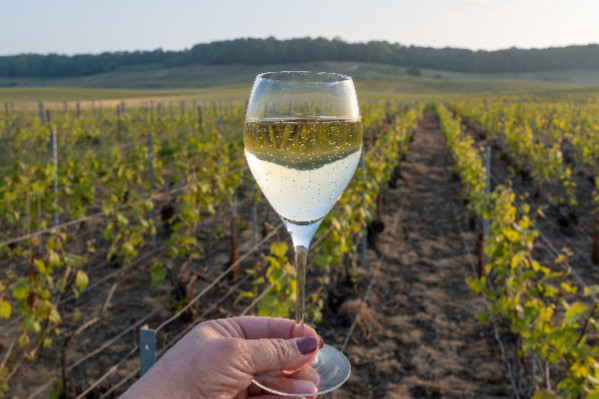 Castel arrive en Champagne avec le rachat de Malard (20 millions € de CA)