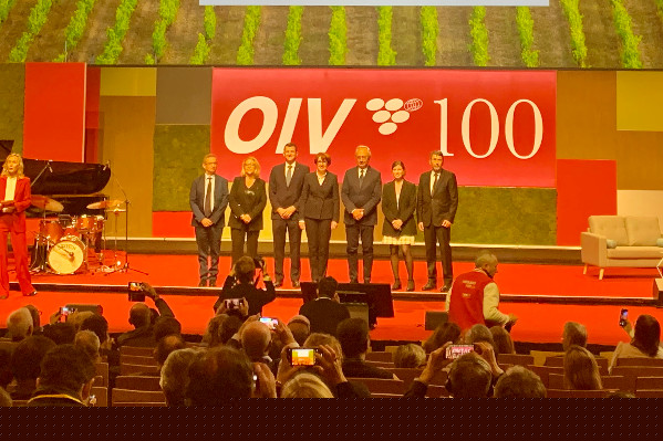 Une filière vin défiée mais pas défaite par l’avenir