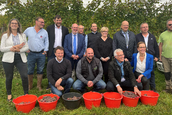 Pour une PAC et un PLF qui ne laissent pas la filière vin en PLS