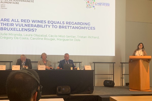 Pourquoi tous les vins n'ont pas la même résistance à Brettanomyces