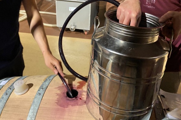 Du vin sans sulfites grâce aux fleurs de châtaignier