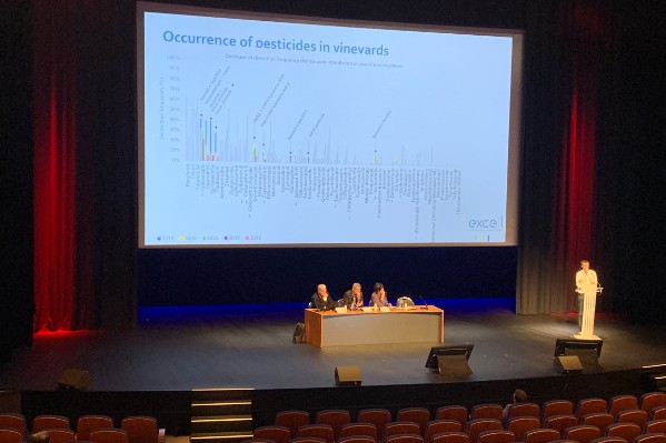 Que disent les analyses de résidus de pesticides sur raisins et vins ?