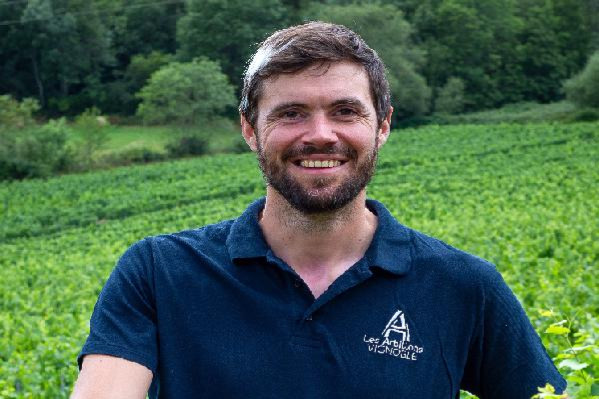 Débordés par l'herbe, difficultés à gérer le mildiou... cette année, les vignerons bios novices ont trinqué