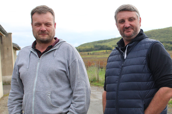Les vignerons de Cahors face à la série noire des petits rendements