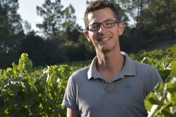 'Ce millésime a bousculé les habitudes des vignerons'