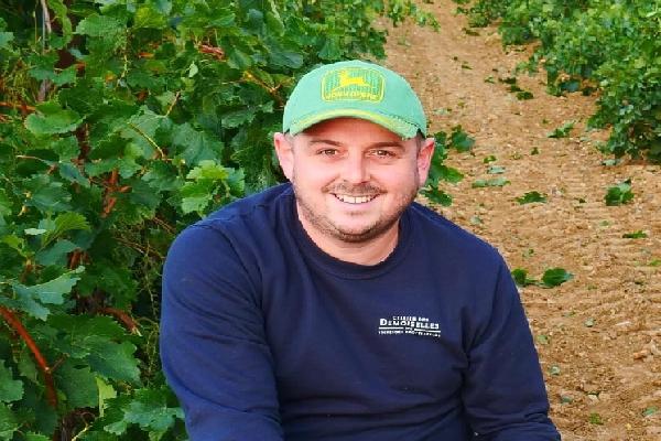 '9 hl/ha, c'est encore plus violent qu'en 2021 l'année du gel', des caves vides comme jamais