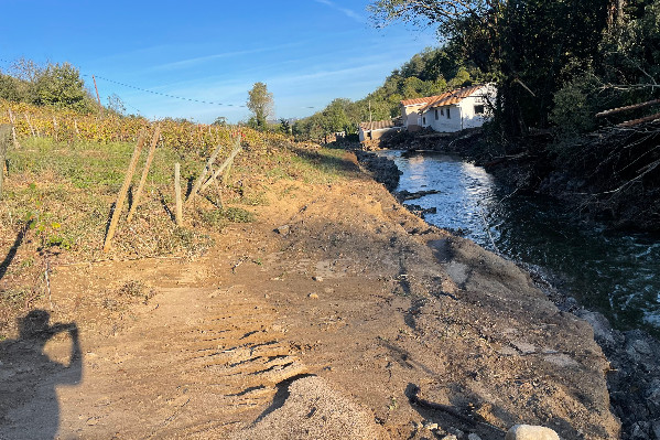 Les eaux emportent vignes et bouts de parcelles