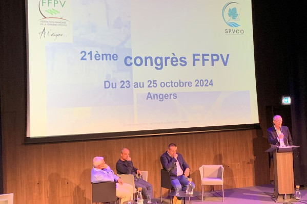 La marque ENTAV change de nom pour les plants de vigne