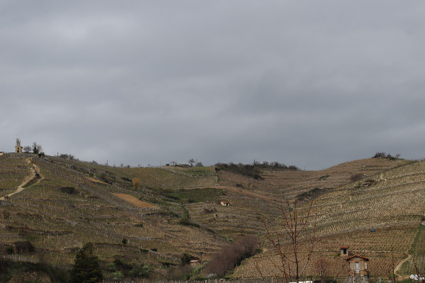 Les Côtes du Rhône septentrionaux se rêvent à l'Unesco