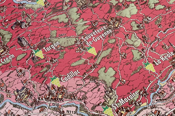 Bordeaux passe sous les 100 000 ha de vignes