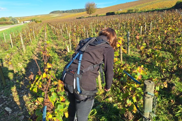 A 750 €, l’exosquelette Symbo, s’adresse à la viticulture