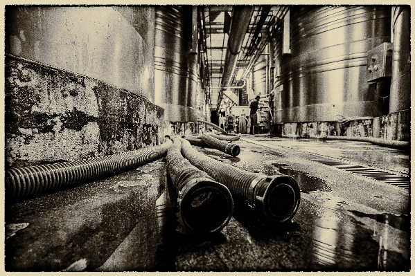 Difficultés pour 20 % des caves coopératives françaises : 50 % dans le Rhône, 40 % à Bordeaux, 37 % en Occitanie...