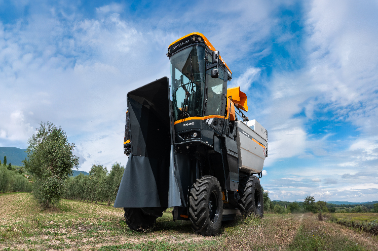 Ces nominés du Sitevi valent aussi le coup d’œil
