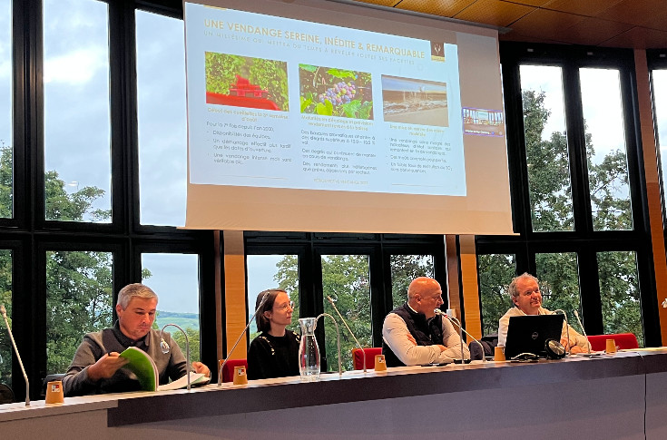 La Champagne rentre 9 500-10 000 kg/ha de raisins aux degrés élevés mais au pH maintenu : 