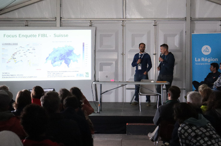 La recette des vignerons suisses pour lutter contre le mildiou sans exploser les doses de cuivre