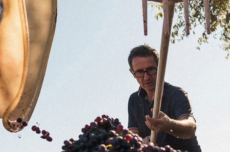 Pour les vignerons 