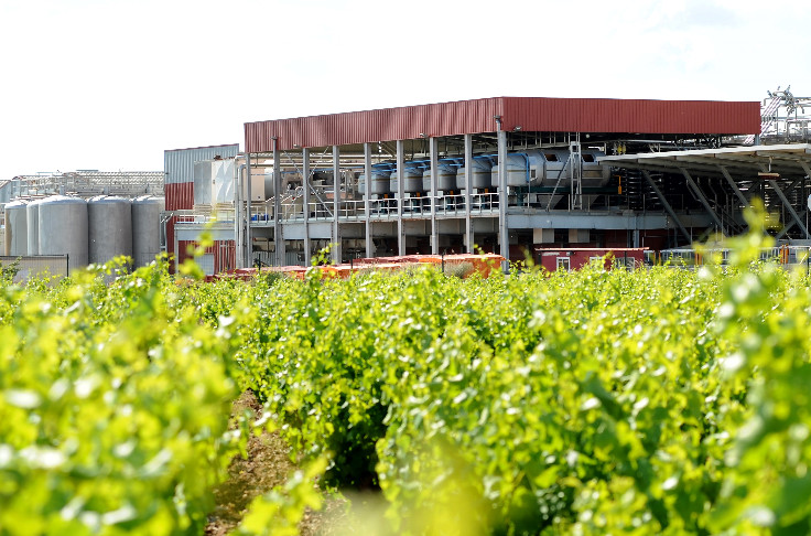 Une cave coopérative et combative face aux défis de la restructuration