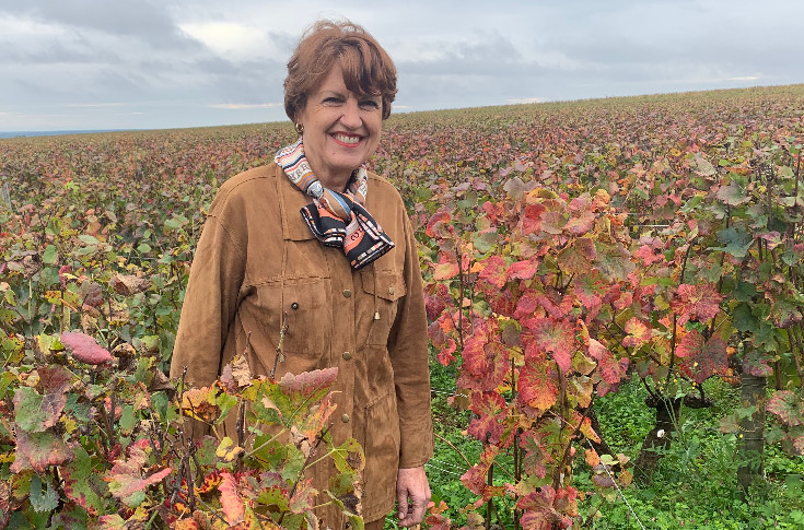 Sébastien Lecornu remAnnie Genevard à l’Agriculture et la sortie de crise viticole