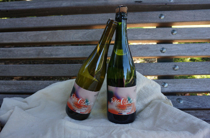 Désalcooliser des vins sans déséquilibrer son bilan carbone : l'engagement d'Ethic Drinks