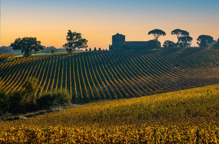 Prix discount pour les vins de Bordeaux, du vrac aux grands crus, 