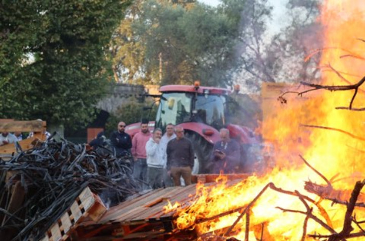 Les vignerons brûlent d'impatience pour l’exonération de taxe foncière