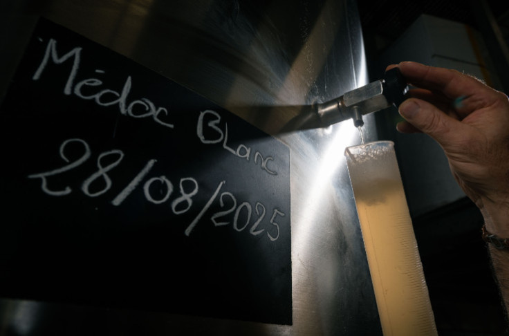 Médoc wines due to go white and green, before embracing Chardonnay again