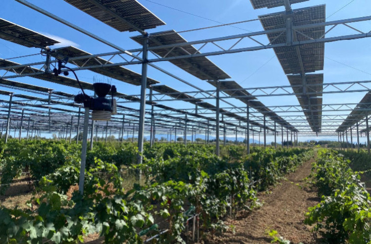 Panneaux solaires interdits pour les vignes AOC Côtes-du-Rhône Panneaux solaires interdits pour les vignes AOC Côtes-du-Rhône