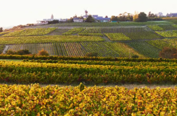 French wine appellation to simplify its name