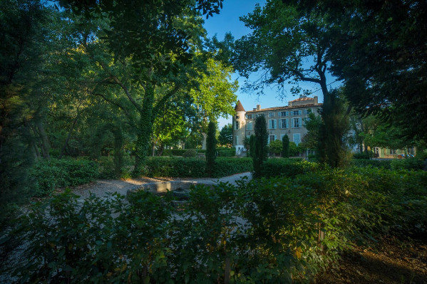 Redressement judiciaire 'salutaire' pour le vignoble provençal de l’Église