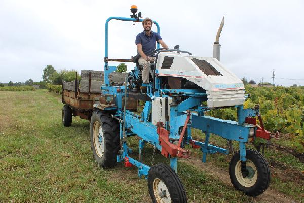 'Le K53 consomme 3 l/h. Les tracteurs récents le double' Pas de retraite pour les vieux coucous dans les vignes