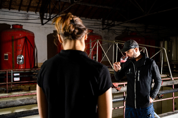 Entre chaleurs estivales et pluies de septembre, les vignerons du Vaucluse composent avec 'agilité et adaptation'