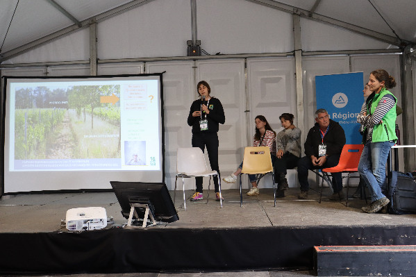 Planter des arbres dans le vignoble, oui, mais pas n’importe où !