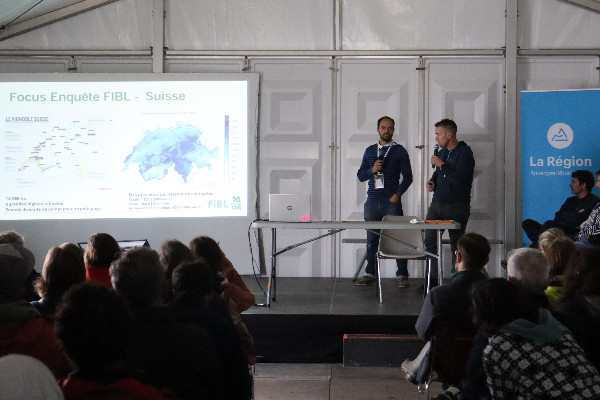 La recette des vignerons suisses pour lutter contre le mildiou sans exploser les doses de cuivre