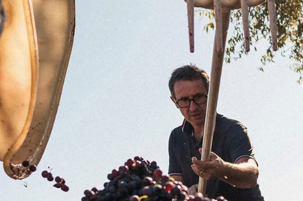 Pour les vignerons 'l’exaspération laisse place à la colère' et certains évoquent même 'une rétention de la TVA'