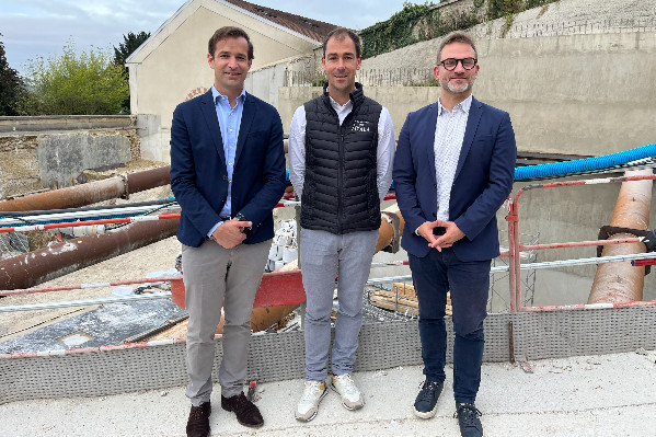 Petits pas pour grande décarbonation : comment le champagne Ayala vise -90 % d'émissions