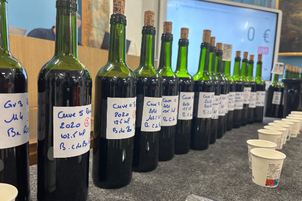 'Massacre' des vins de Bordeaux liquidés à 23 €/hl : 'l’État doit préempter'