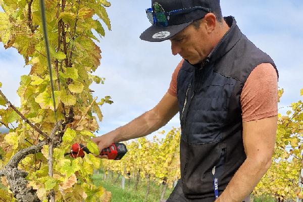 Une liberté retrouvée : le sécateur sans fil Felco approuvé par ses premiers utilisateurs