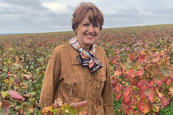 Sébastien Lecornu remAnnie Genevard à l’Agriculture et la sortie de crise viticole