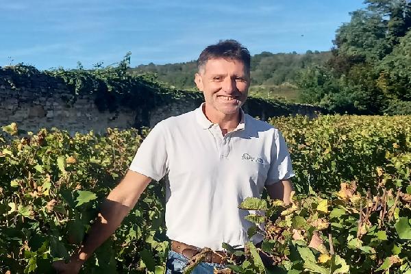 'En 2024, si j’avais dû me limiter à 4 kg de cuivre, j'aurais perdu toute ma récolte', pourquoi le lissage est vital pour les vignerons