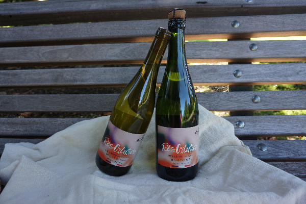 Désalcooliser des vins sans déséquilibrer son bilan carbone : l'engagement d'Ethic Drinks