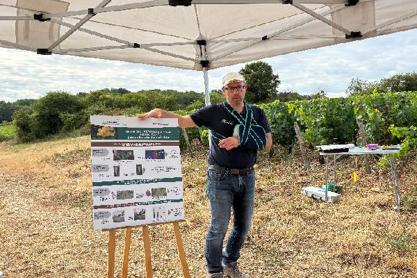 Les adjuvants boostent l'efficacité des herbicides dans le vignoble